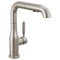 Delta Almari Single Handle Pull-Out Kitchen Faucet