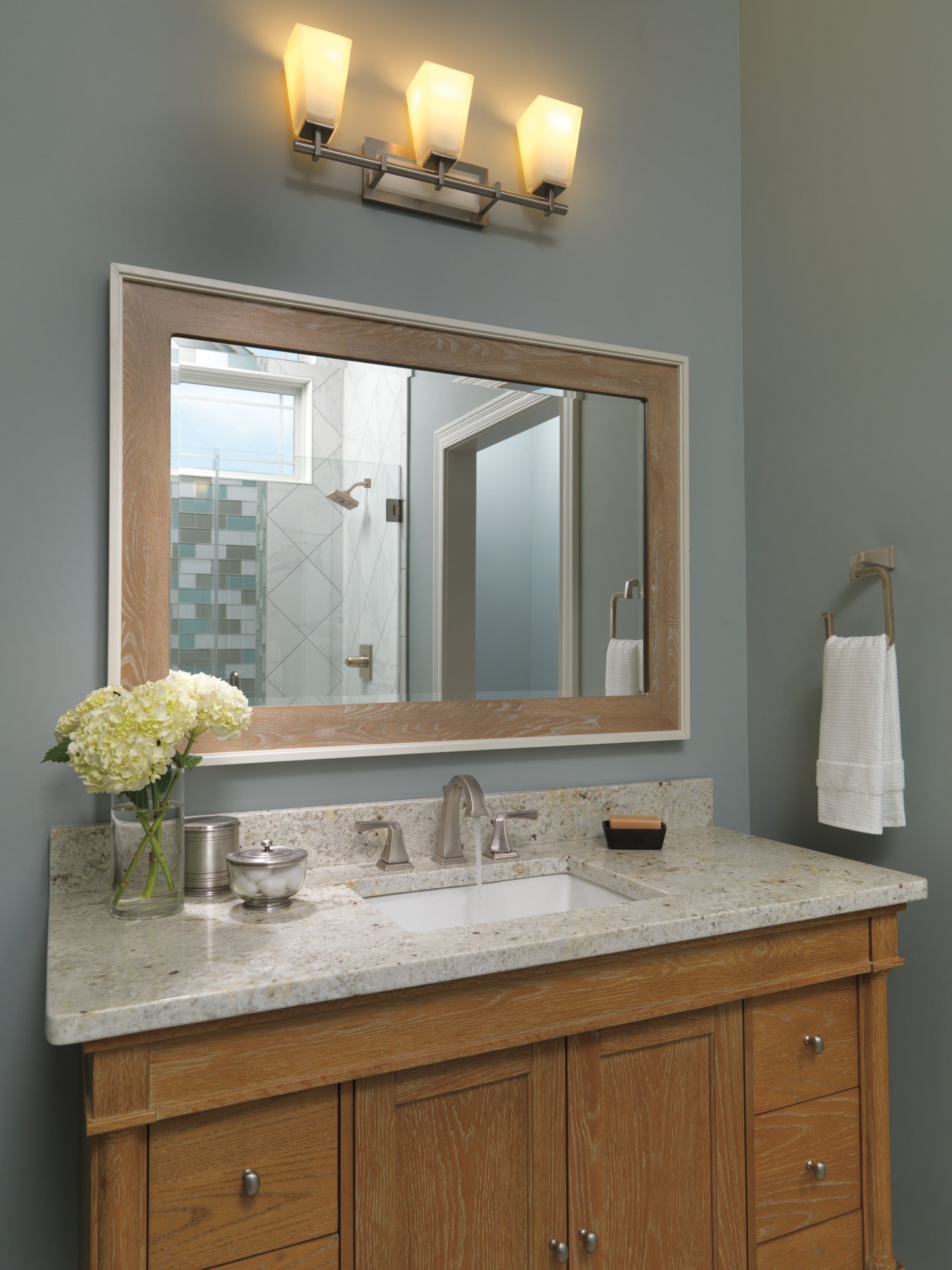 Delta Dryden Towel Ring