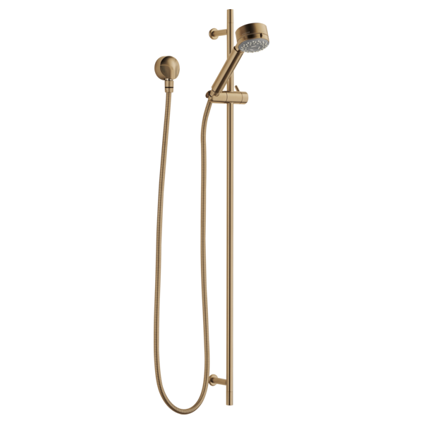 Brizo Brizo European Multi-Function Slide Bar Hand Shower