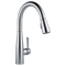 Delta Essa Single Handle Pull-Down Kitchen Faucet