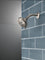 Delta Showerhead Two Handle .5 GPM 6-Setting